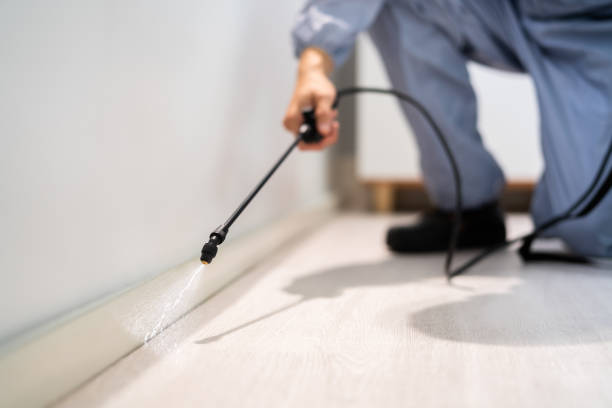 Bed Bug Pre-Treatment Preparation Assessment in Tracy